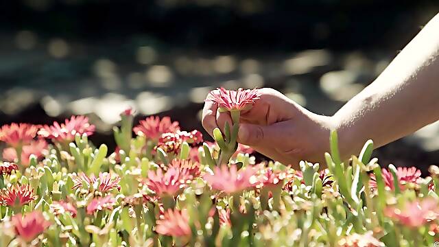DAmour - Emylia Argan & Eric El Gran