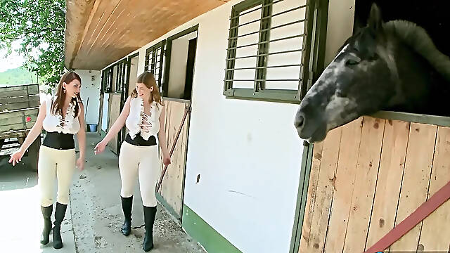 Christy Marks & Terry Nova: 4-way screw in a barn